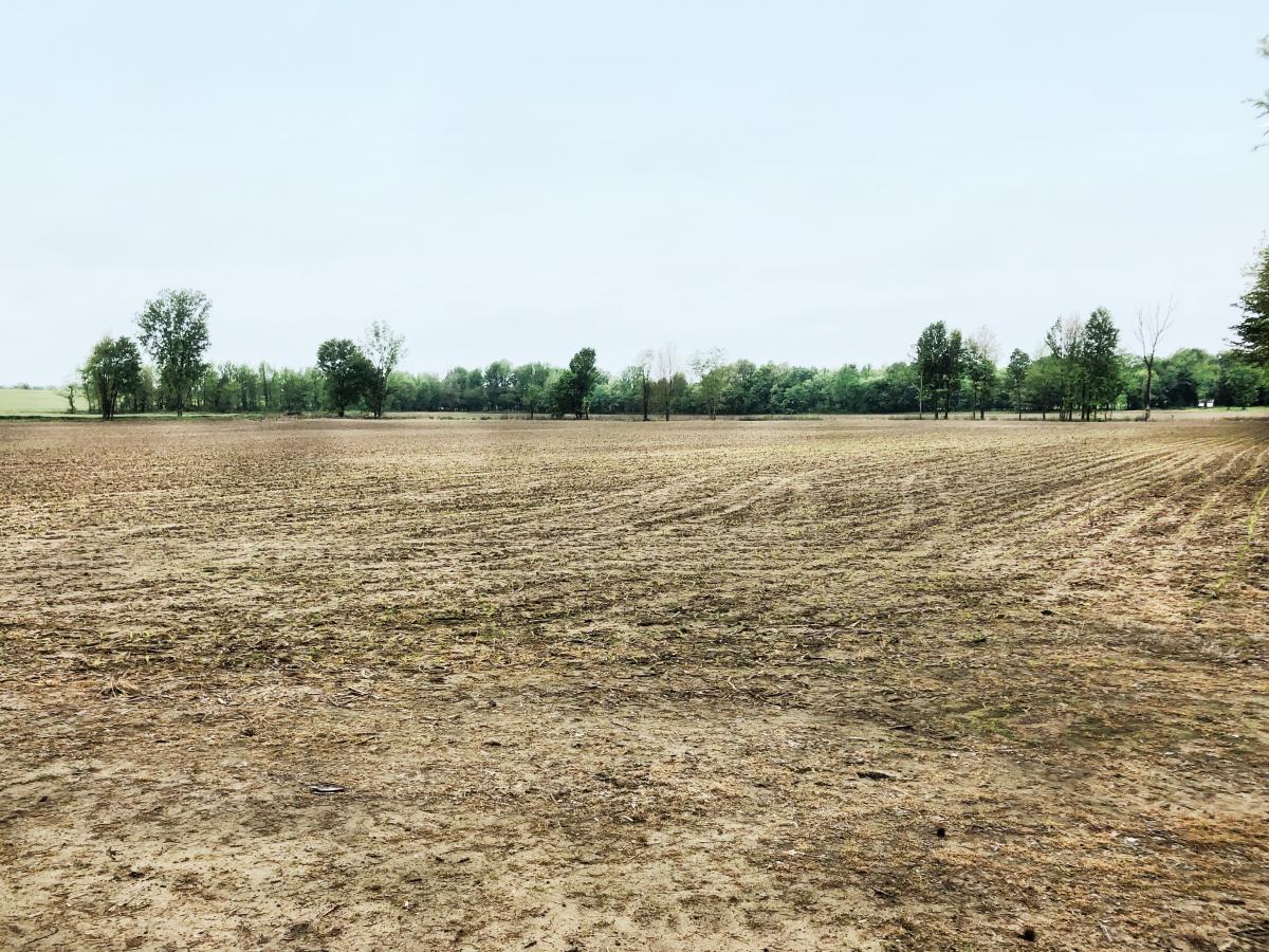 109.03± Acres in McLean Co. KY Gallery Kurtz Auction & Realty Co.